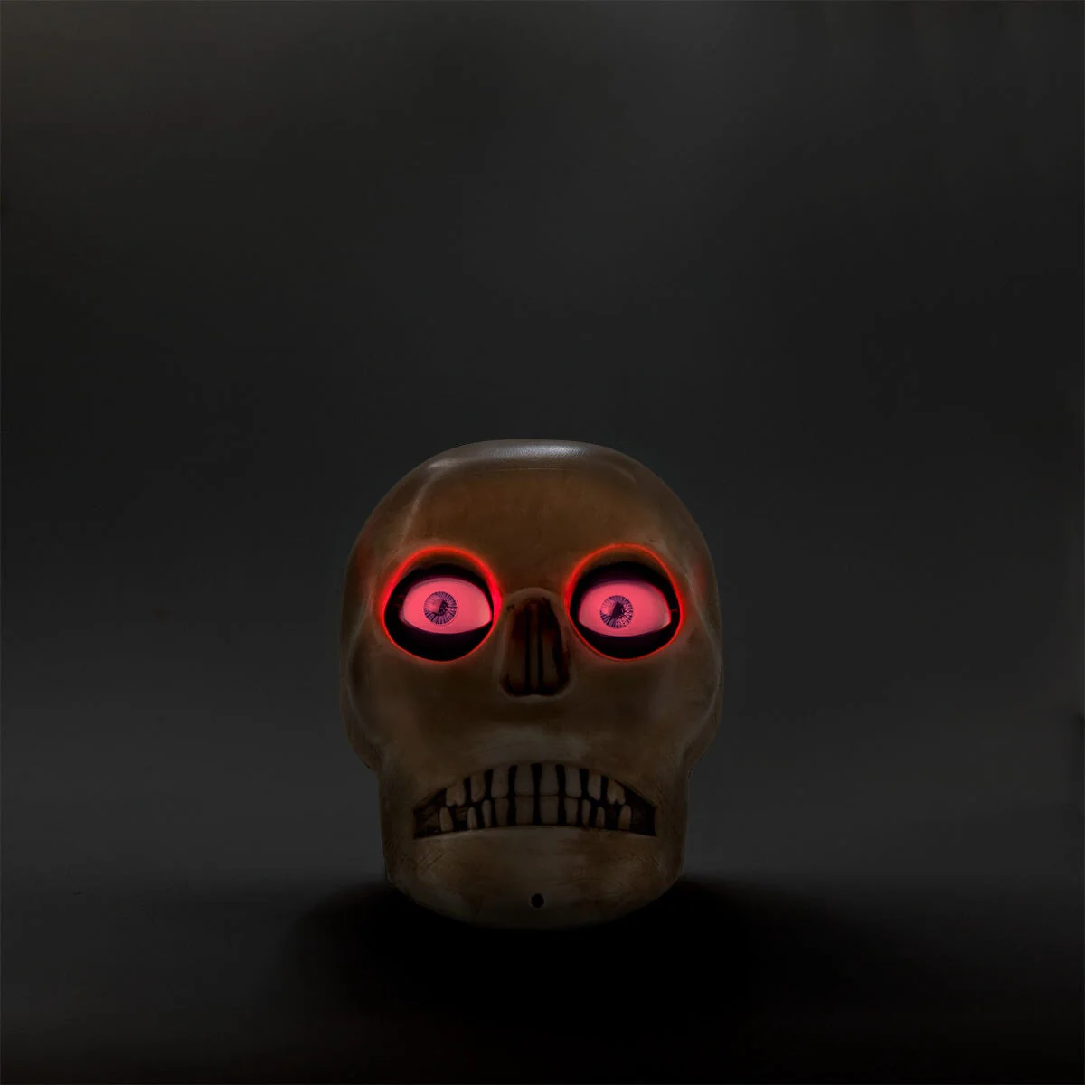 Haunted skull - Image 3